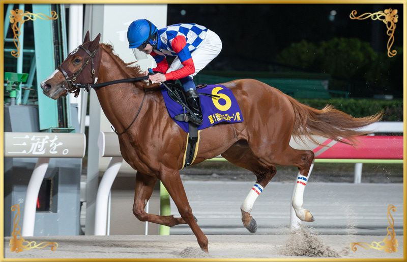 2024年優勝馬 プリムスパールス号