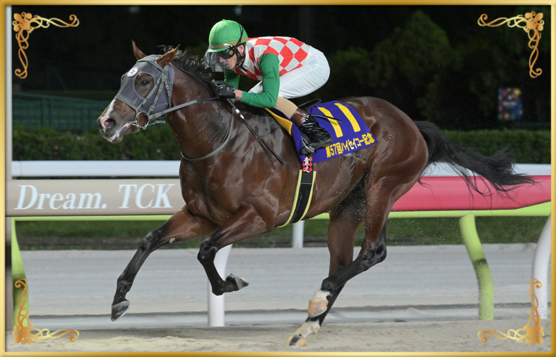 2024年優勝馬 スマイルマンボ号