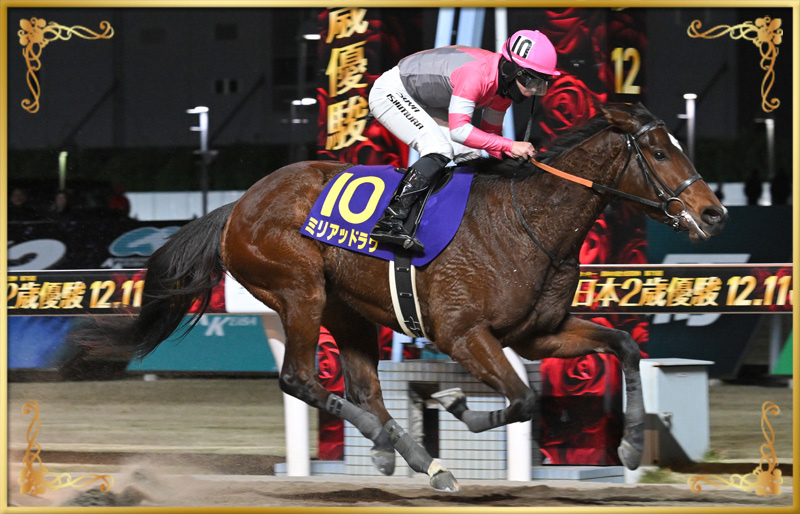 2024年優勝馬 ミリアッドラヴ号