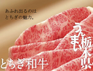 とちぎ和牛ギフトセット(12000円相当)