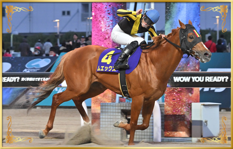 2025年優勝馬 ムエックス号