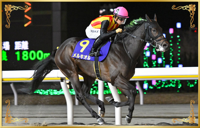 2025年優勝馬　メルキオル号