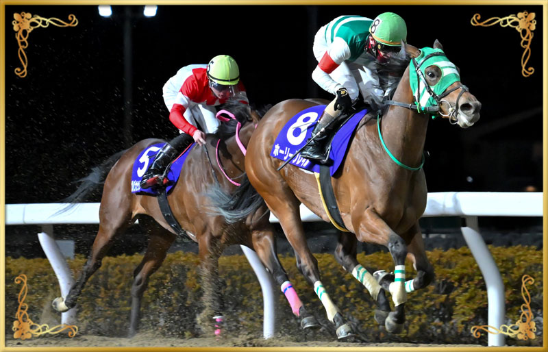 2025年優勝馬　ホーリーグレイル号