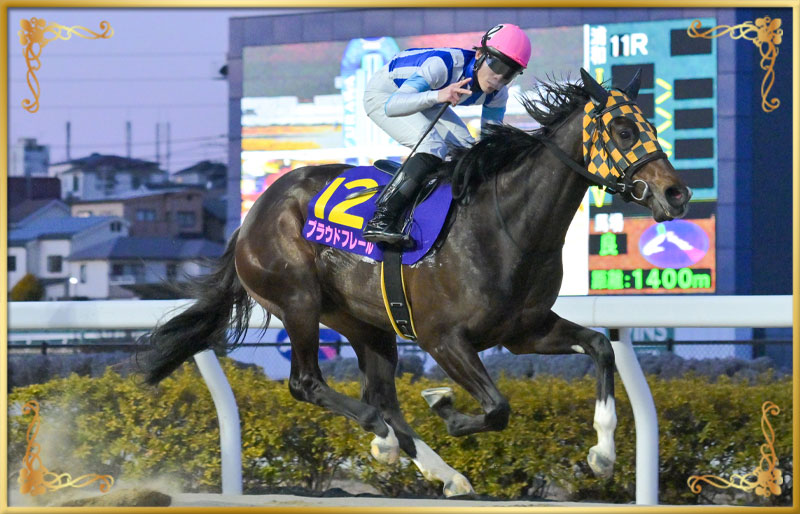 2025年優勝馬　プラウドフレール号