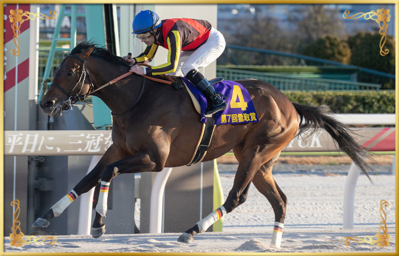 2025年優勝馬　ジャナドリア号