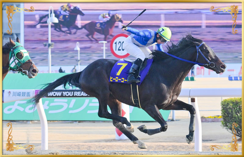 2025年優勝馬　ヒーローコール号