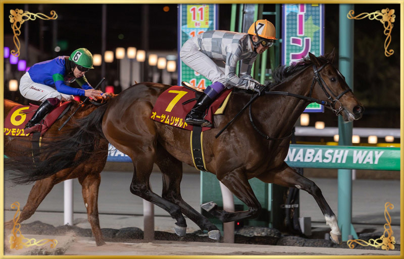 2025年優勝馬　オーサムリザルト号