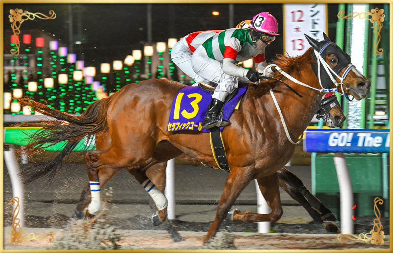 2025年優勝馬　セラフィックコール号