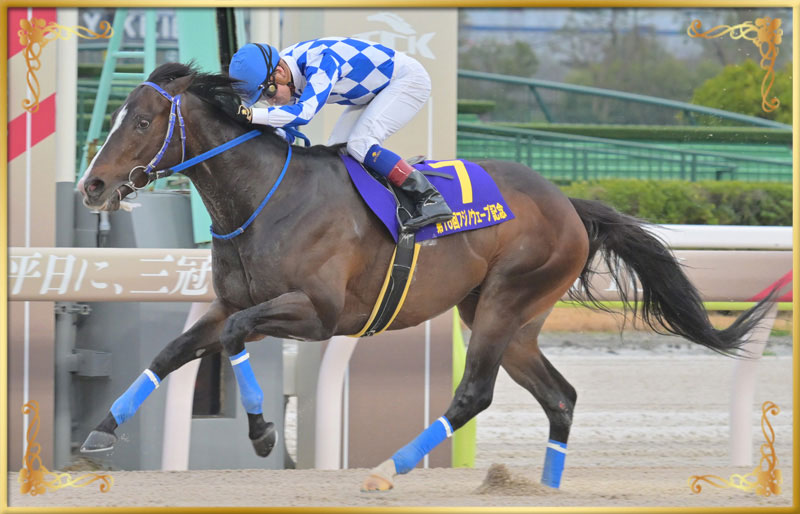 2025年優勝馬 イグザルト号