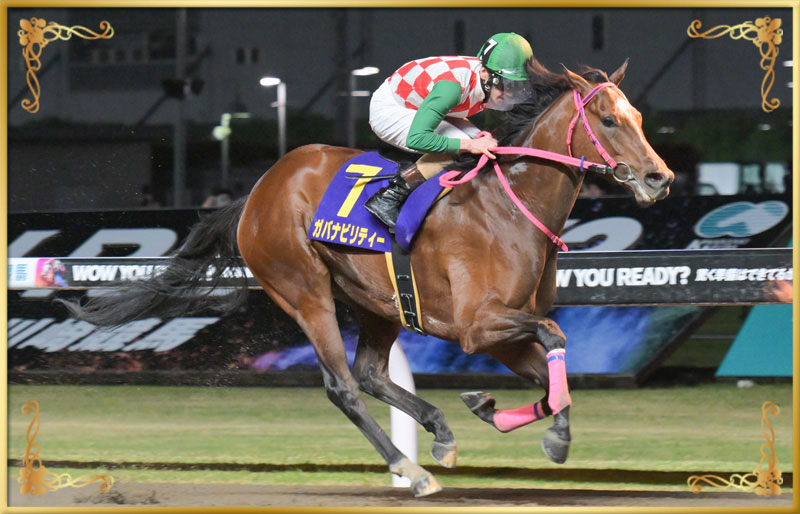 2025年優勝馬　ガバナビリティー号