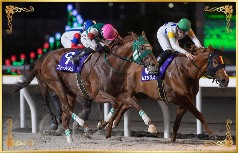 2025年優勝馬 フォーヴィスム号(外)