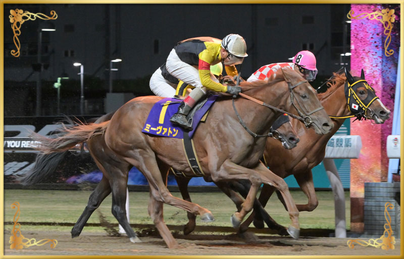 2025年優勝馬 ミーヴァトン号(外)