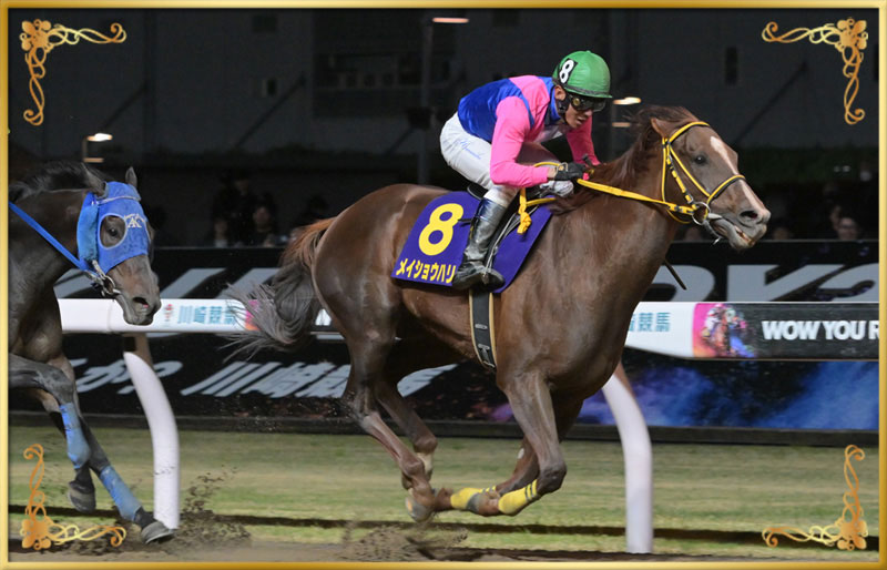 2025年優勝馬 メイショウハリオ号