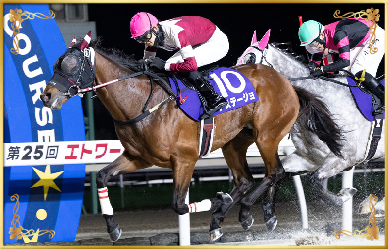 2025年優勝馬　デステージョ号