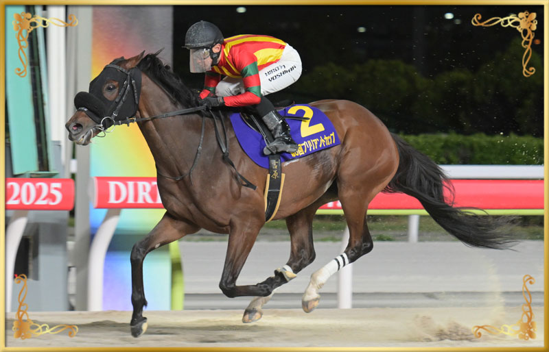 2025年優勝馬 キングストンボーイ号