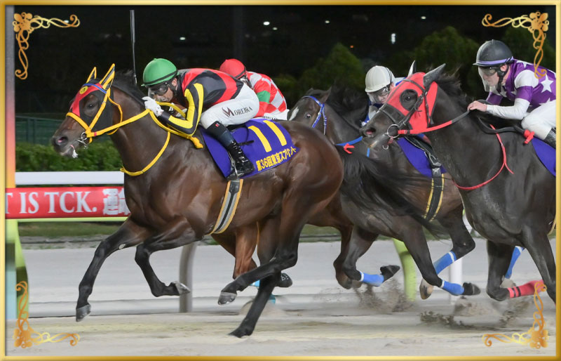 2025年優勝馬 エートラックス号