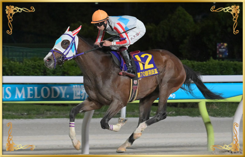 2025年優勝馬 ナチュラルライズ号