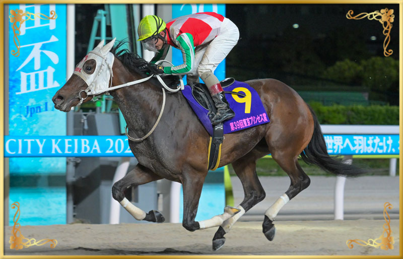 2025年優勝馬 ベルグラシアス号