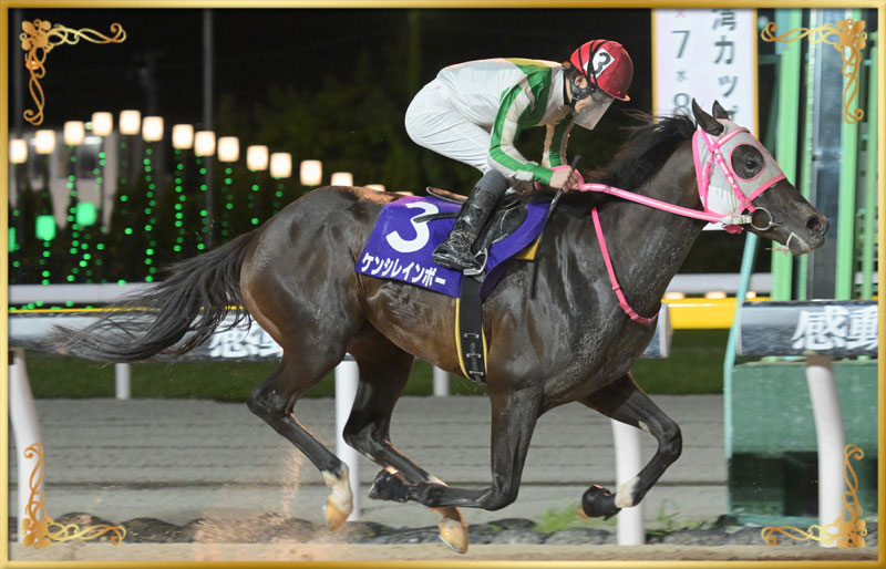 2025年優勝馬 ケンシレインボー号