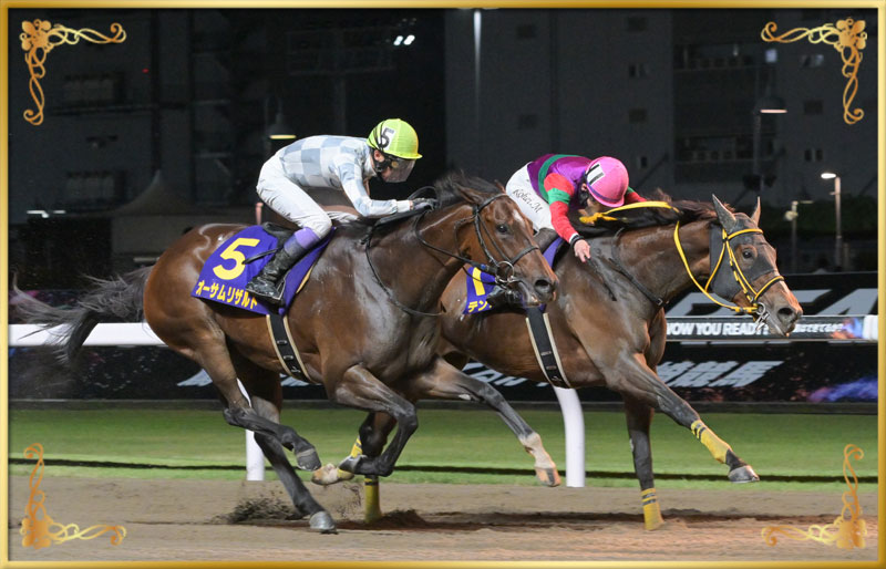 2025年優勝馬　テンカジョウ号(内)