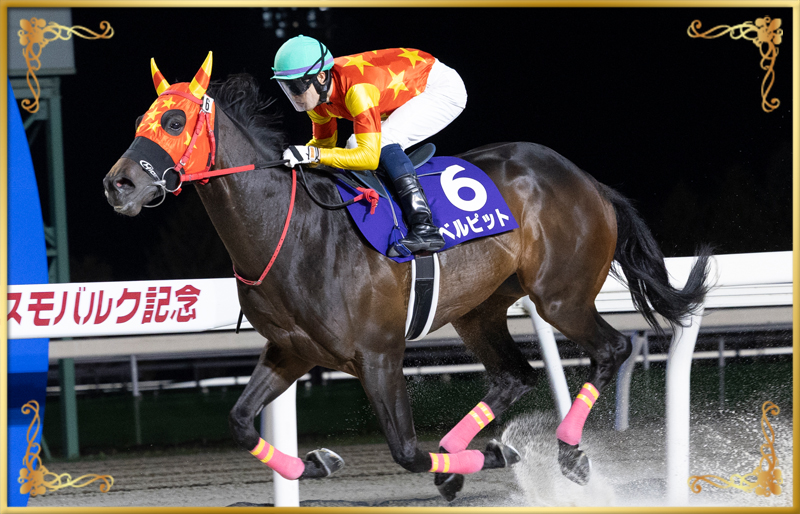 2025年優勝馬 ベルピット号