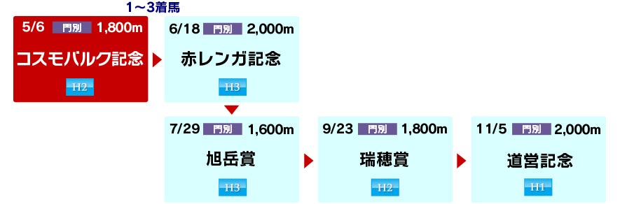 体系図 ~ホッカイドウ競馬3歳以上中距離~