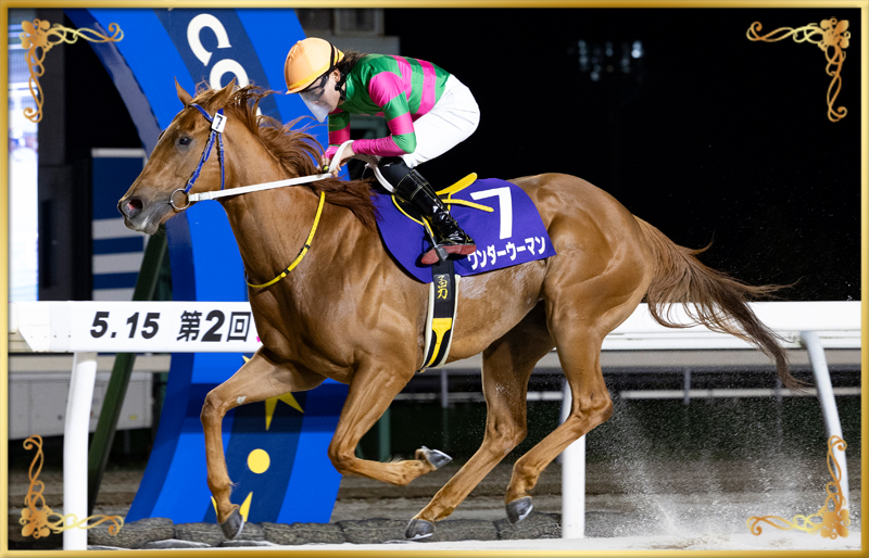 2025年優勝馬 ワンダーウーマン号