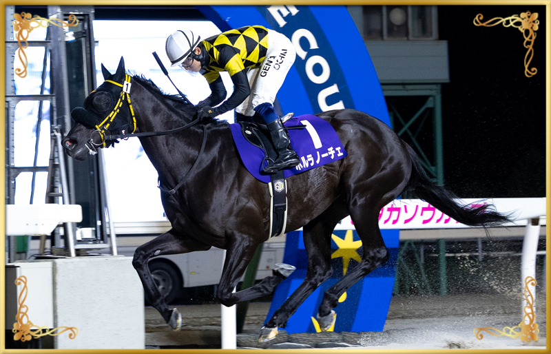 2025年優勝馬 ポルラノーチェ号