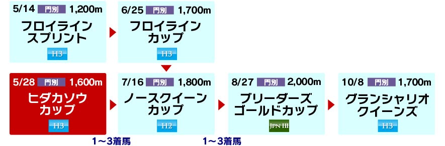 体系図　～ホッカイドウ競馬3歳以上牝馬～