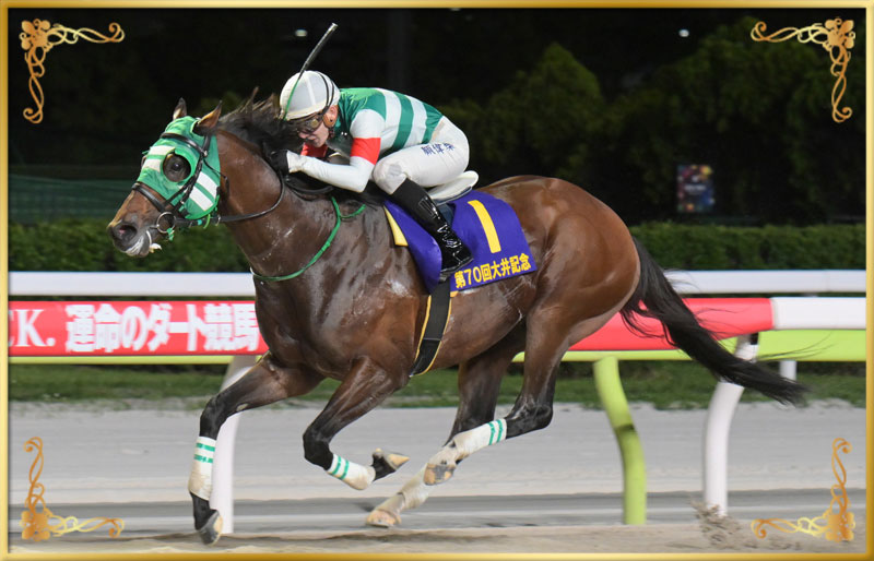 2025年優勝馬　ライトウォーリア号