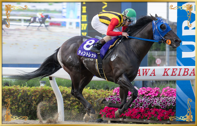 2025年優勝馬　ティントレット号