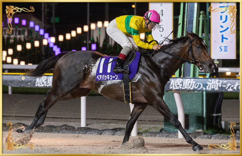 2025年優勝馬 ベアバッキューン号