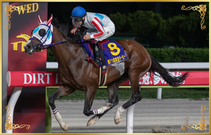 2025年優勝馬　ナチュラルライズ号