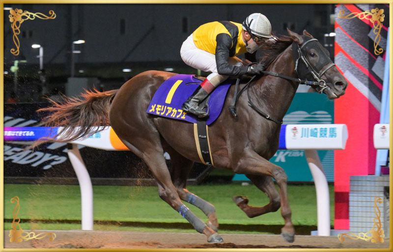 2025年優勝馬　メモリアカフェ号