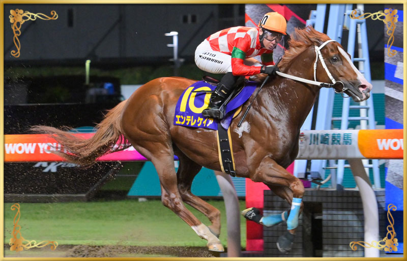 2025年優勝馬 エンテレケイア号
