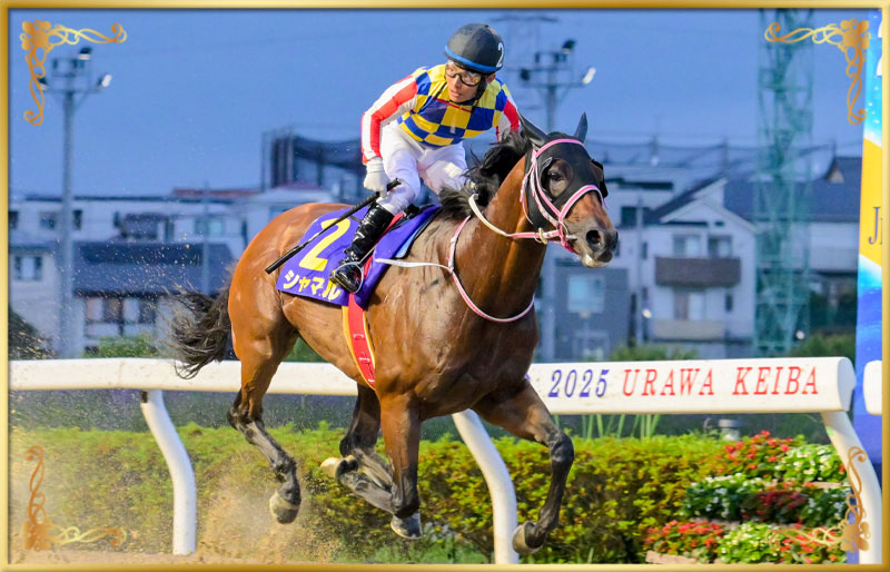 2025年優勝馬　シャマル号