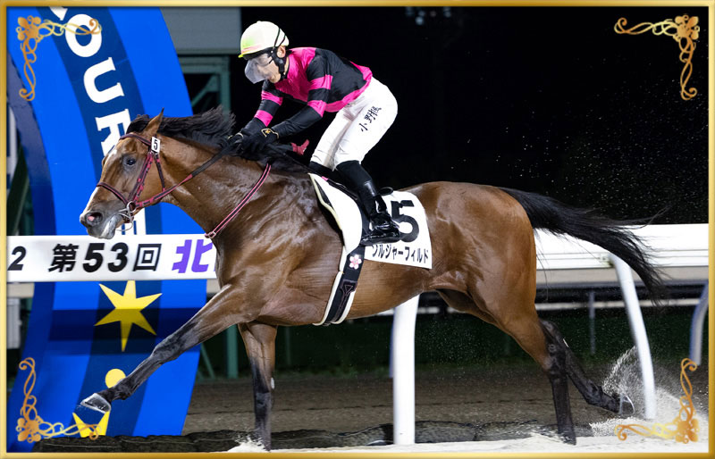 2025年優勝馬 ソルジャーフィルド号