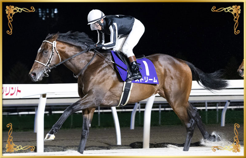 2025年優勝馬　ストリーム号