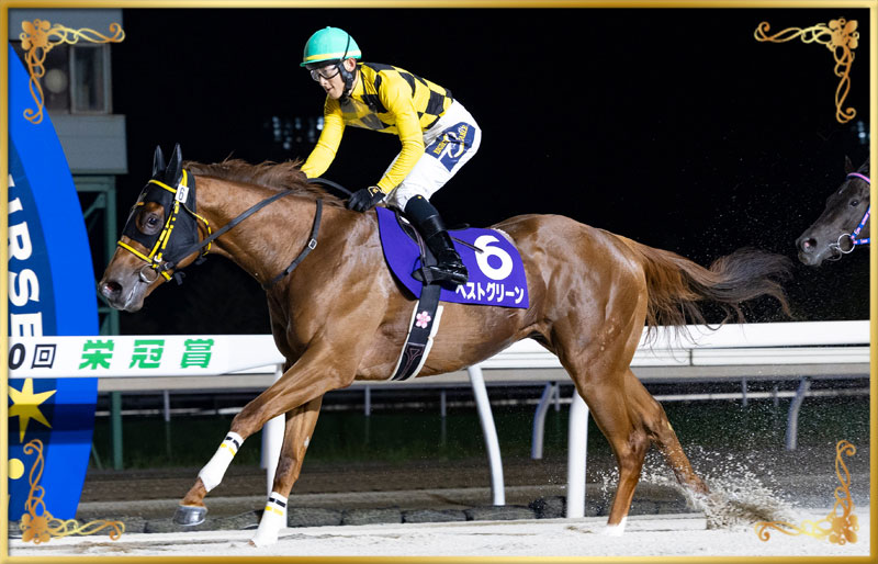 2025年優勝馬 ベストグリーン号
