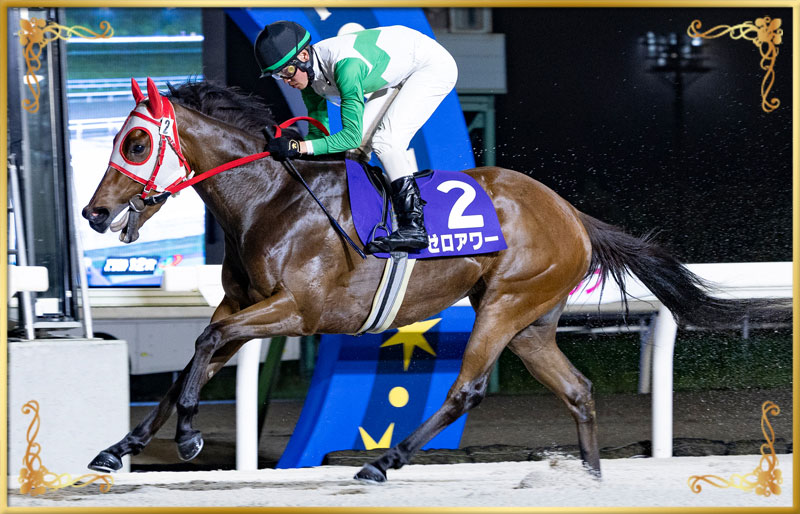 2025年優勝馬 ゼロアワー号