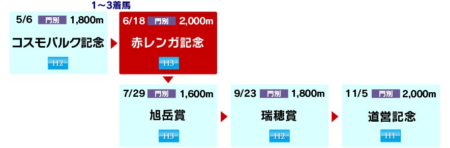 体系図　～ホッカイドウ競馬3歳以上中距離～