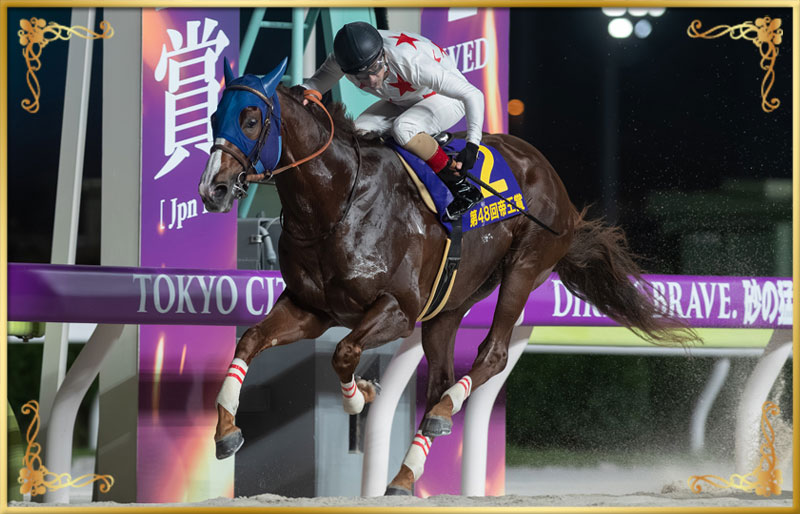 2025年優勝馬　ミッキーファイト号