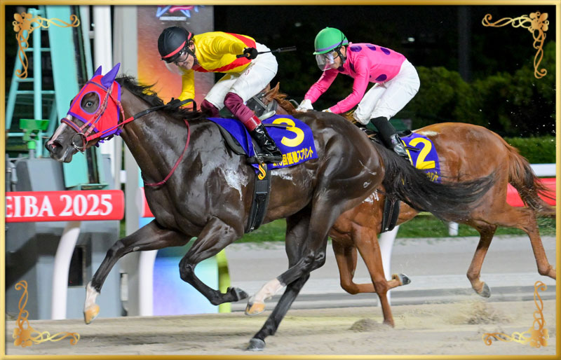 2025年優勝馬 ハーフブルー号