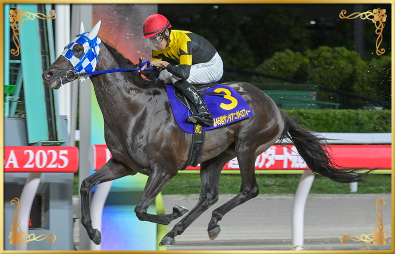 2025年優勝馬 ランリョウオー号