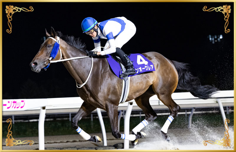 2025年優勝馬 サンオークレア号