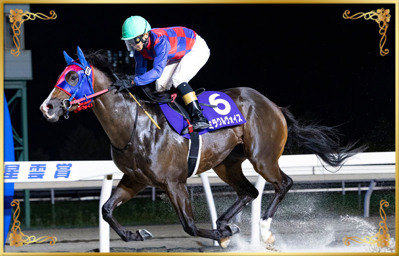 2025年優勝馬　ミラクルヴォイス号