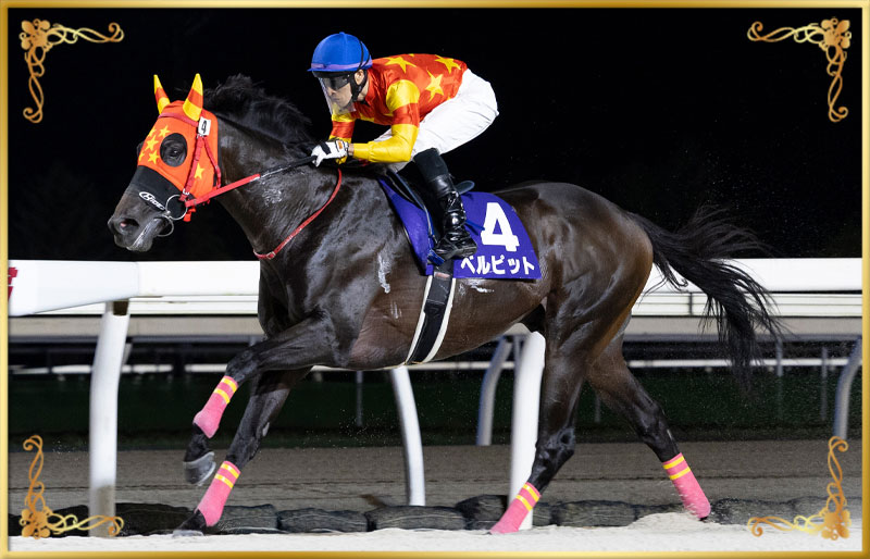 2025年優勝馬 ベルピット号