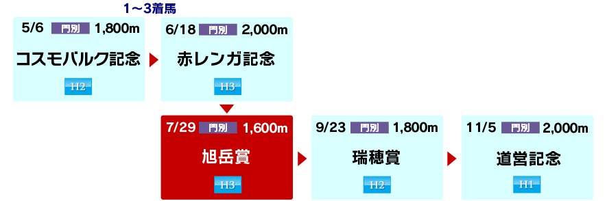 体系図 ~ホッカイドウ競馬3歳以上~