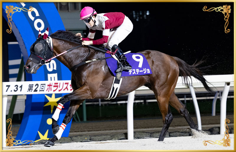 2025年優勝馬 デステージョ号