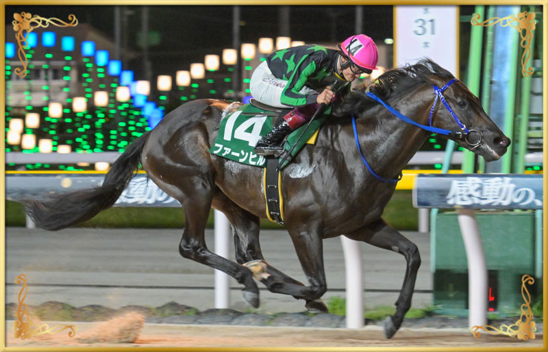 2025年優勝馬 ファーンヒル号